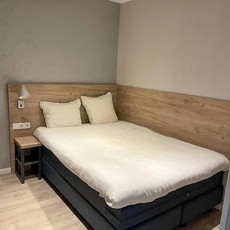 Hotel Joy 3*