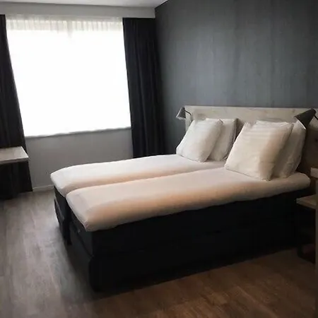 Joy Hotell 3*
